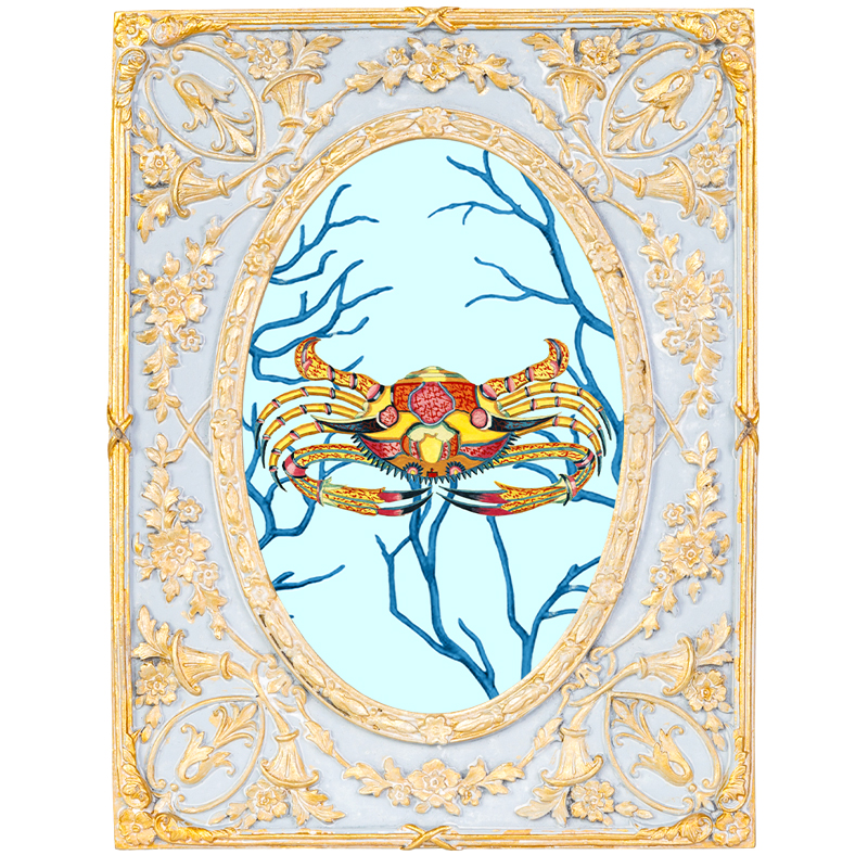 Картина в раме с золотым орнаментом Seashell Still Life 2 Мульти Золотой Голубой Картина в раме с золотым орнаментом Seashell Still Life 2 Мульти Золотой Голубой в Челябинске | Loft Concept