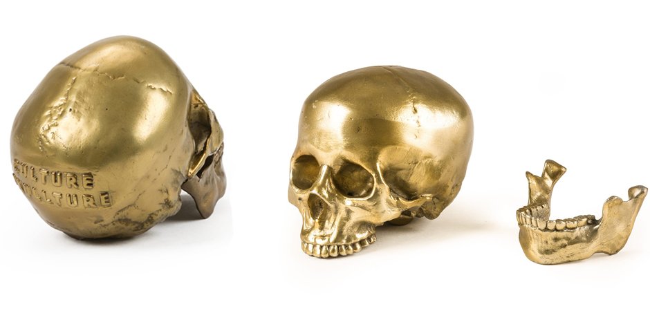 Статуэтка Seletti Wunderkrammer Human Skull Статуэтка Seletti Wunderkrammer Human Skull - Loft-Concept в Челябинске