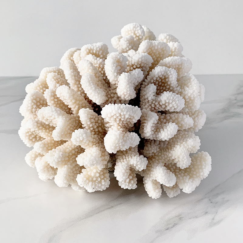 Статуэтка Brownstem Coral Статуэтка Brownstem Coral в Челябинске | Loft Concept