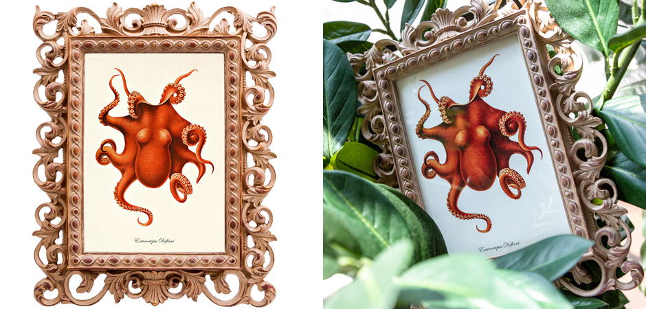 Постер Red Octopus Poster Постер Red Octopus Poster - Loft-Concept в Челябинске
