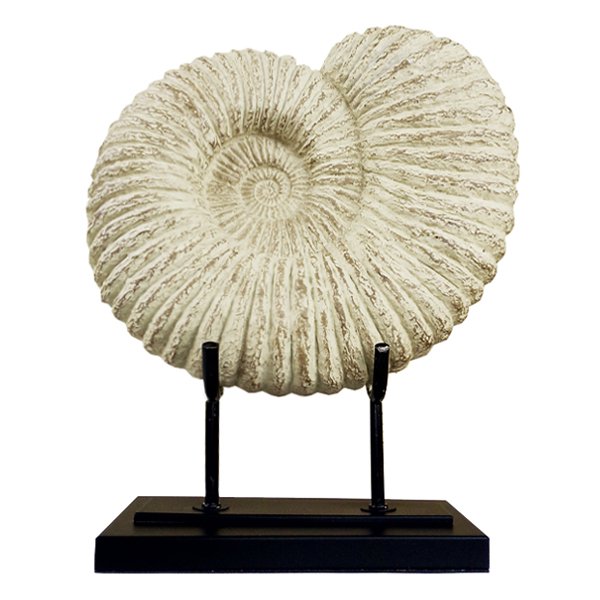 Аксессуар Аммонит Fossil Shell Аксессуар Аммонит Fossil Shell в Челябинске | Loft Concept