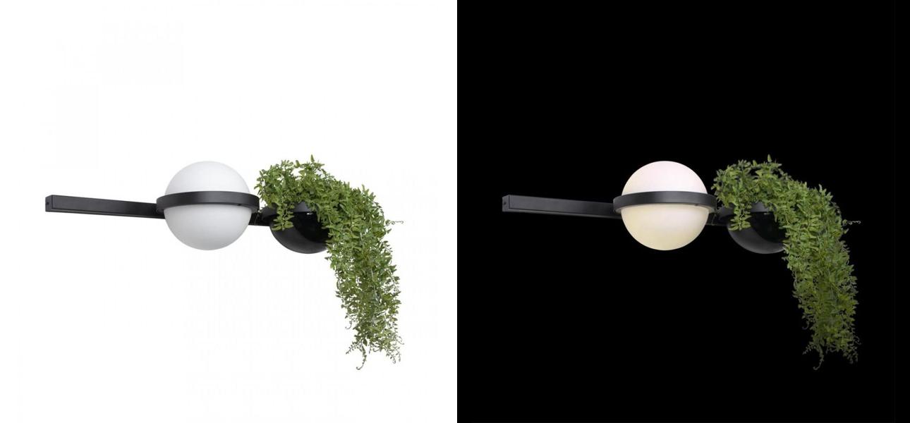 Настенный светильник c подставкой для живых растений Palma by Vibia small - фото