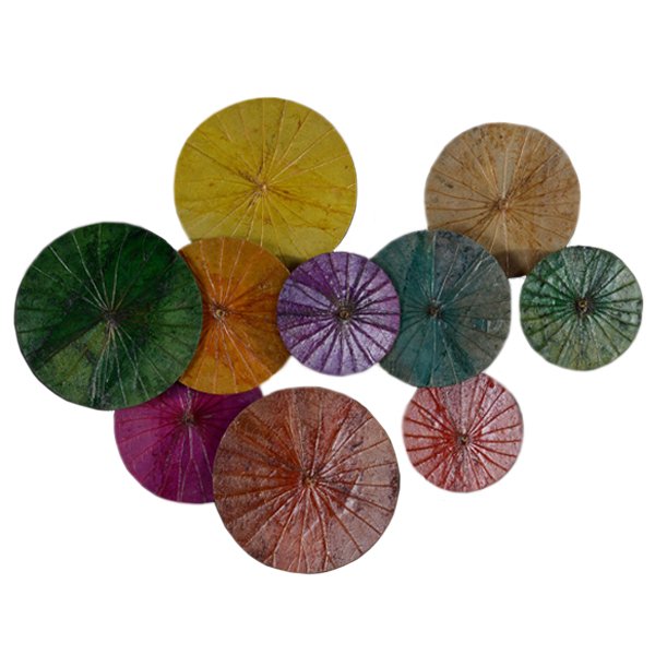 Арт-объект Disc wall art Lotus leaves Мульти Арт-объект Disc wall art Lotus leaves Мульти в Челябинске | Loft Concept