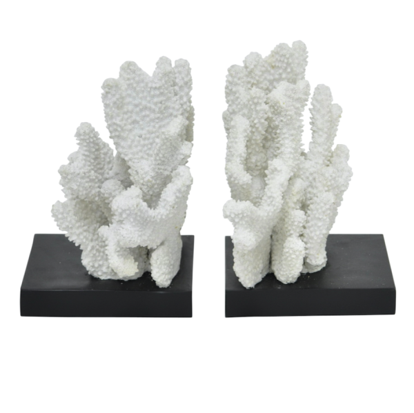 Держатели для книг White Coral Белый Держатели для книг White Coral Белый в Челябинске | Loft Concept