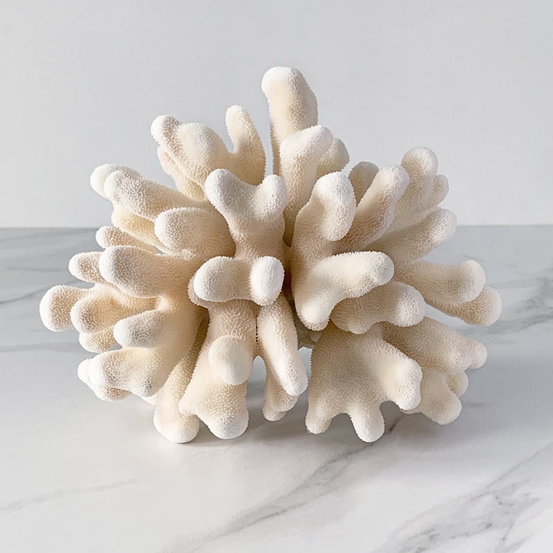 Статуэтка Elkhorn Coral Статуэтка Elkhorn Coral в Челябинске | Loft Concept