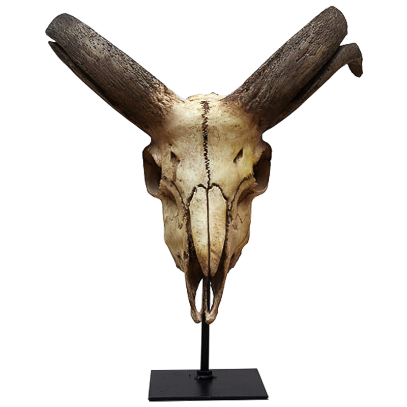 Аксессуар Goat Skull Бежевый Коричневый Черный Аксессуар Goat Skull Бежевый Коричневый Черный в Челябинске | Loft Concept