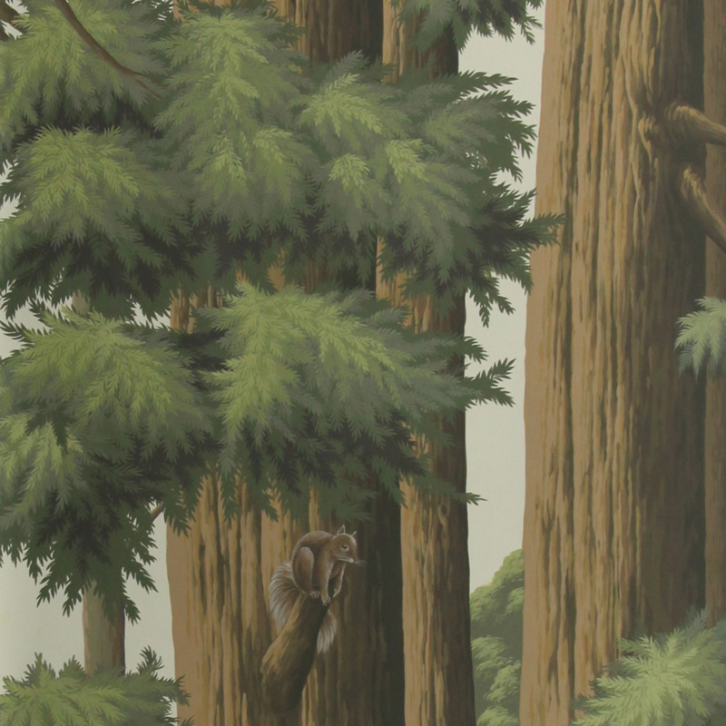 Обои ручная роспись Redwoods Colourway SC-281 on scenic paper Обои ручная роспись Redwoods Colourway SC-281 on scenic paper в Челябинске | Loft Concept