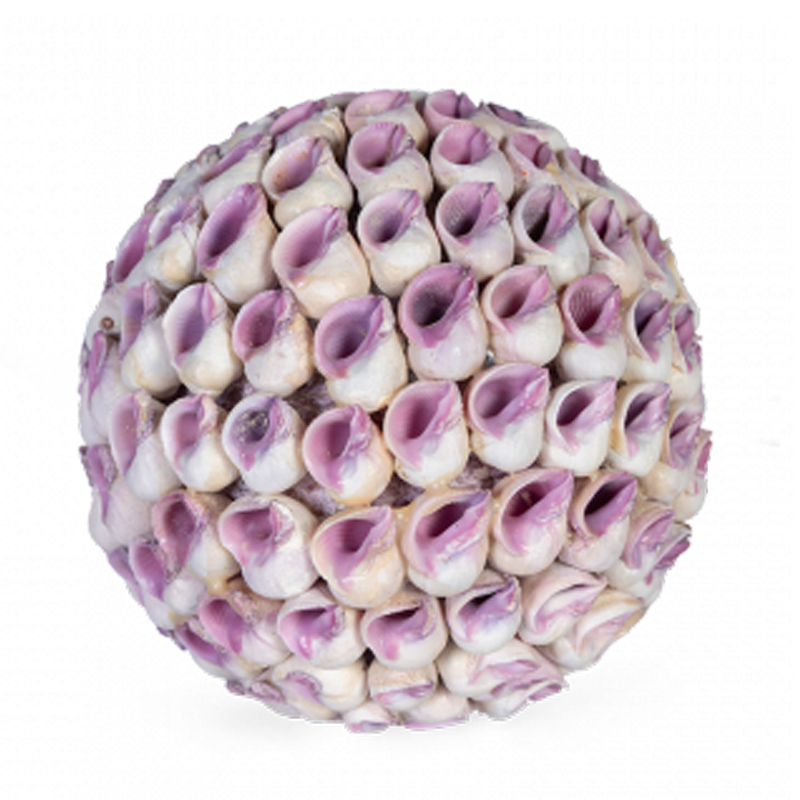 Статуэтка Coral Decor ball Коричневый Статуэтка Coral Decor ball Коричневый в Челябинске | Loft Concept