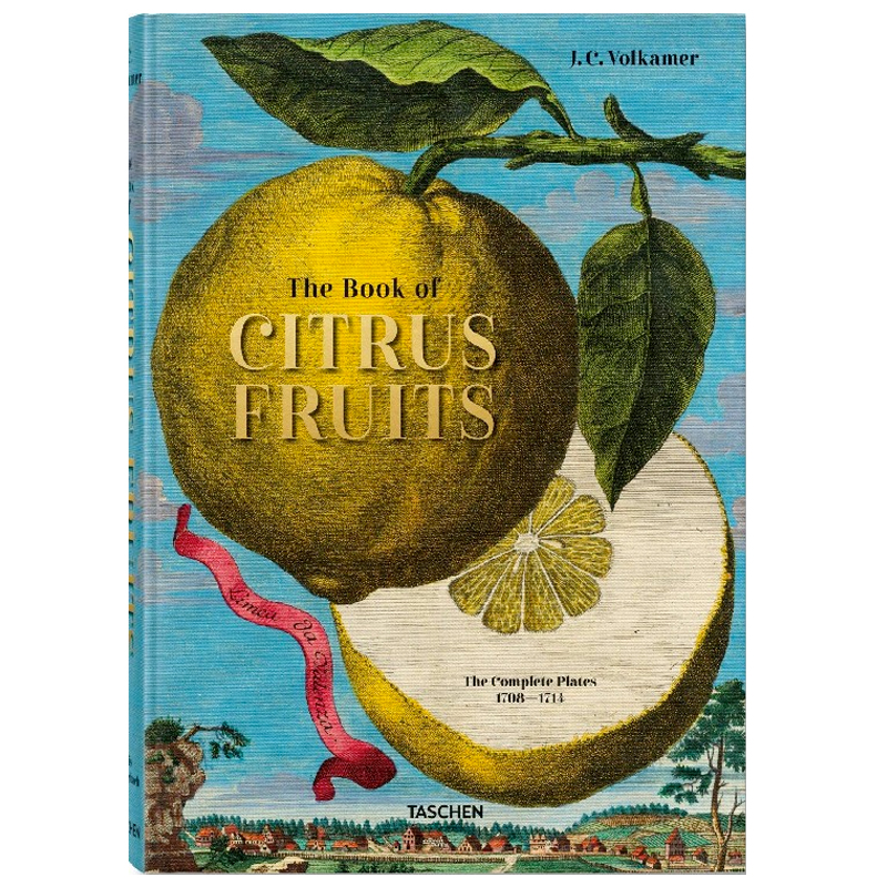Volkamer Citrus Fruits  в Челябинске | Loft Concept 