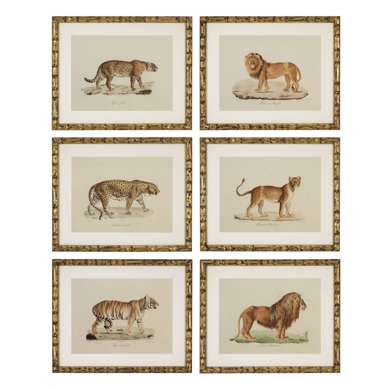 Комплект постеров Eichholtz Prints Lion Tigre Jaguar set of 6 Золотой Бежевый Мульти Комплект постеров Eichholtz Prints Lion Tigre Jaguar set of 6 Золотой Бежевый Мульти в Челябинске | Loft Concept
