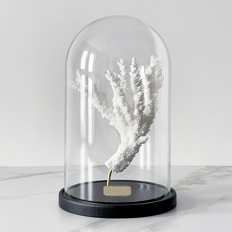 Статуэтка Natural Coral Branch Glass Cloche Статуэтка Natural Coral Branch Glass Cloche в Челябинске | Loft Concept