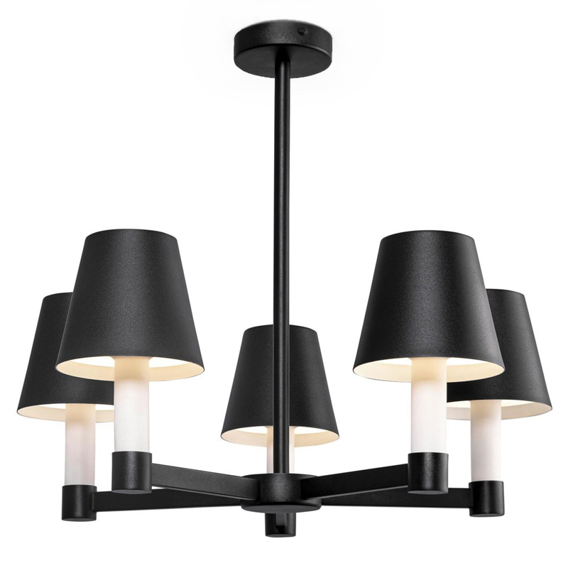 Люстра Eremon Chandelier 5 Черный Люстра Eremon Chandelier 5 Черный в Челябинске | Loft Concept
