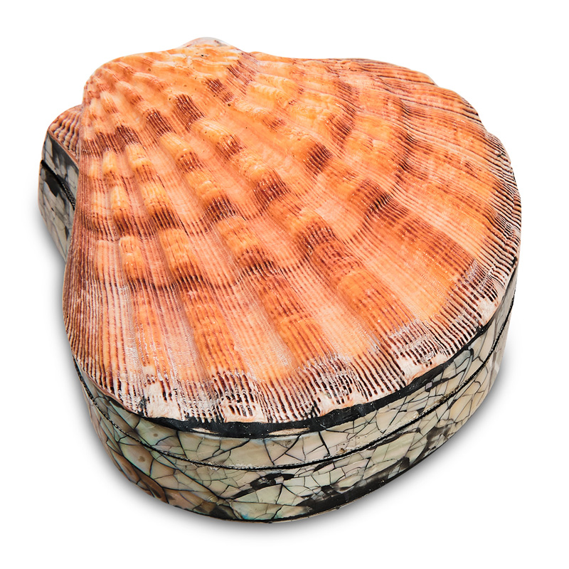 Шкатулка Shell Box II Коралловый Шкатулка Shell Box II Коралловый в Челябинске | Loft Concept