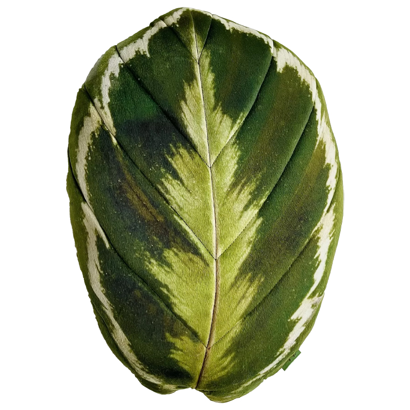 Декоративная подушка Botanical Cushion Calathea Medallion Зеленый Декоративная подушка Botanical Cushion Calathea Medallion Зеленый в Челябинске | Loft Concept