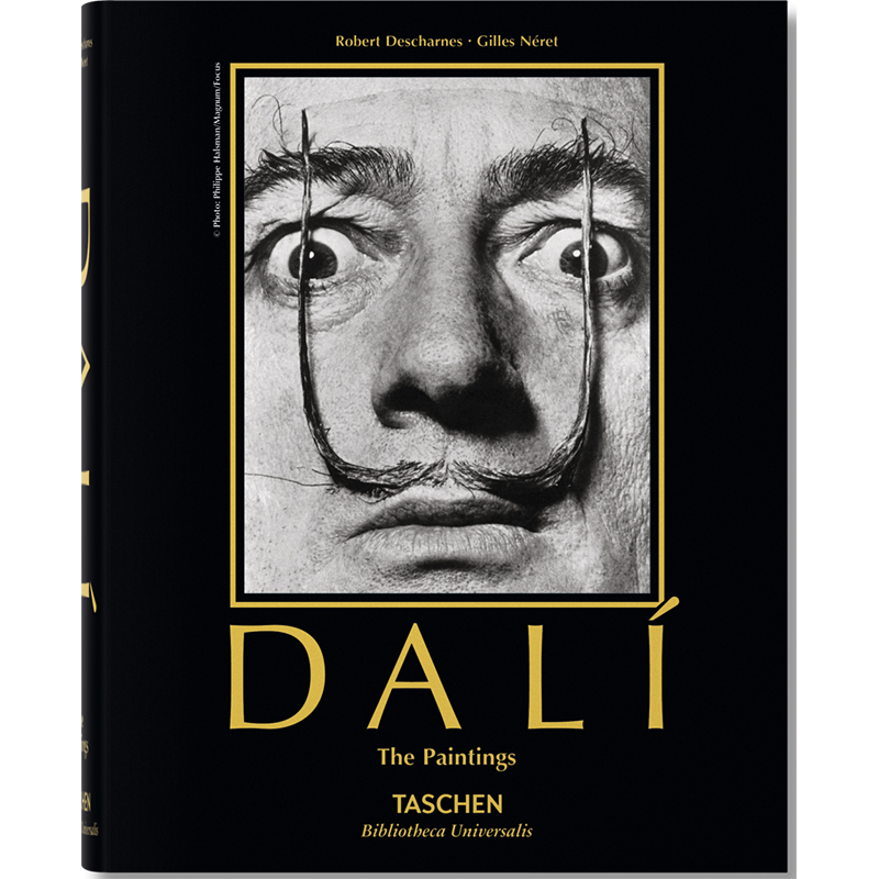 Salvador Dali. Paintings Salvador Dali. Paintings в Челябинске | Loft Concept