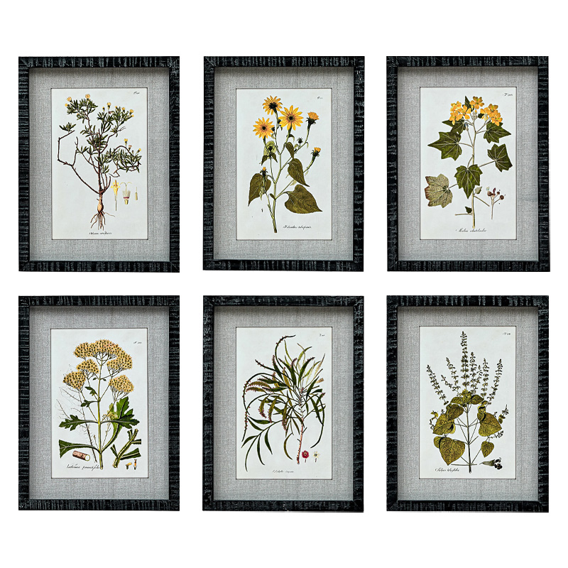 Набор постеров Herbarium Yellow Flowers Мульти Набор постеров Herbarium Yellow Flowers Мульти в Челябинске | Loft Concept