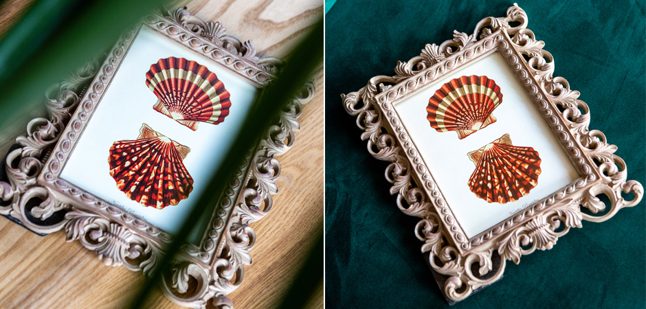 Постер Red Scallop Poster - Loft-Concept в Челябинске