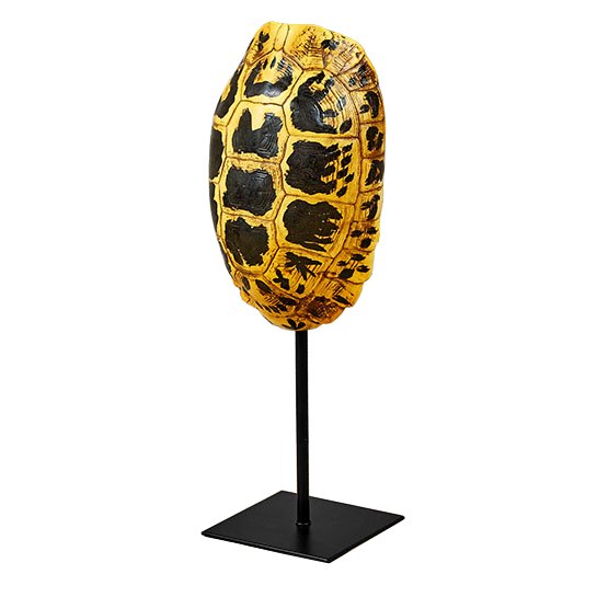 Статуэтка Yellow Tortoise Shell Черный Желтый Статуэтка Yellow Tortoise Shell Черный Желтый в Челябинске | Loft Concept