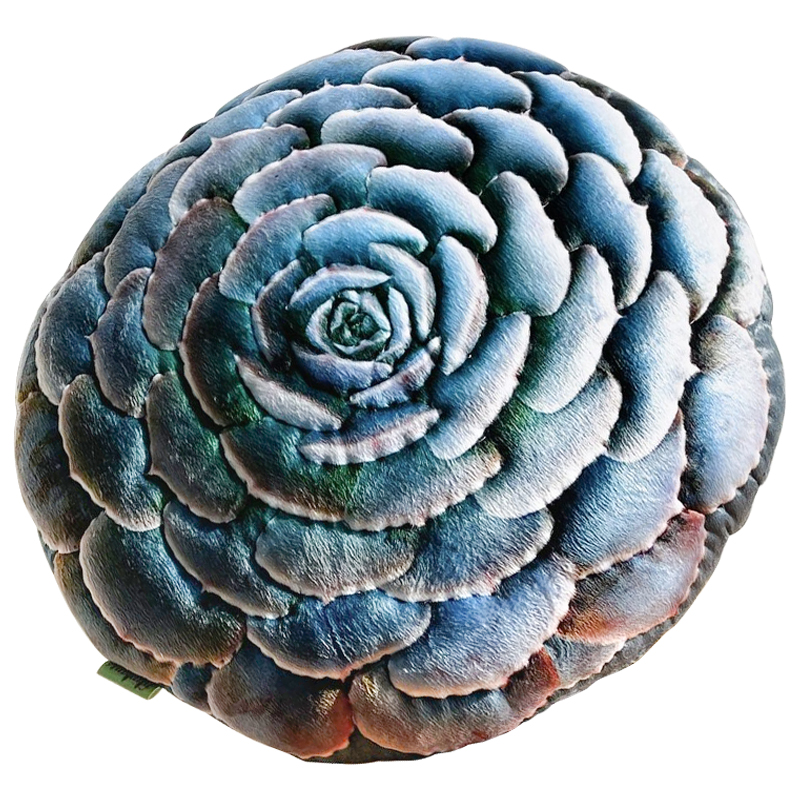 Декоративная подушка Botanical Cushion Succulentus Зеленый Зеленый шалфей Бирюзовый Декоративная подушка Botanical Cushion Succulentus Зеленый Зеленый шалфей Бирюзовый в Челябинске | Loft Concept