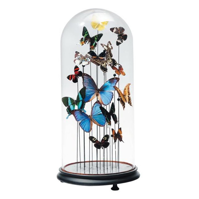 Статуэтка 15 Butterflies Glass Cloche Статуэтка 15 Butterflies Glass Cloche в Челябинске | Loft Concept