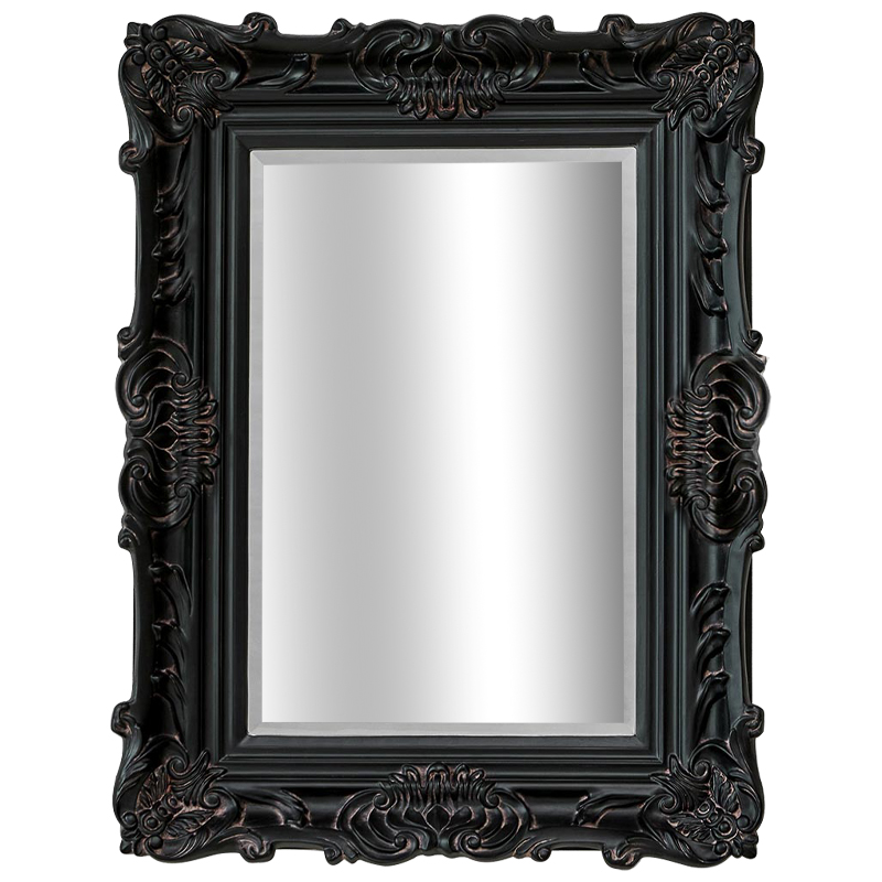 Зеркало Aryan Provence Mirror Black Черный Коричневый в Челябинске | Loft Concept 