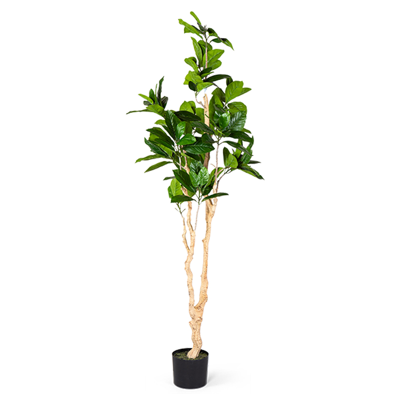 Декоративный искусственный цветок Decorative Tree h187 Зеленый Декоративный искусственный цветок Decorative Tree h187 Зеленый в Челябинске | Loft Concept
