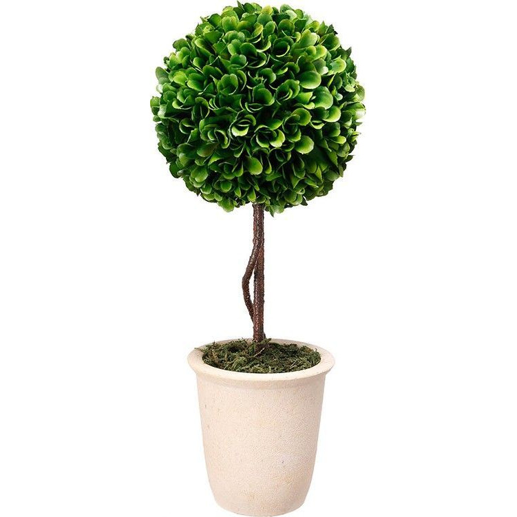 Декоративный искусственное растение Single boxwood Зеленый Бежевый Коричневый Декоративный искусственное растение Single boxwood Зеленый Бежевый Коричневый в Челябинске | Loft Concept