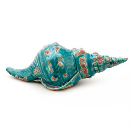 Ракушка Shell Turquoise #1 Бирюзовый Ракушка Shell Turquoise #1 Бирюзовый в Челябинске | Loft Concept