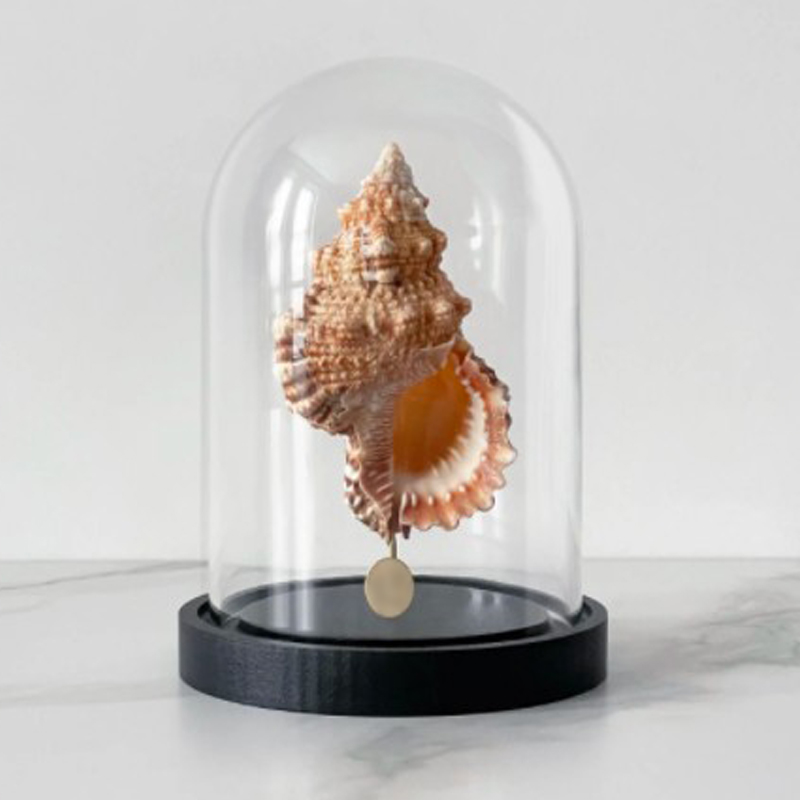 Статуэтка Bursa Rubeta Glass Cloche Статуэтка Bursa Rubeta Glass Cloche в Челябинске | Loft Concept