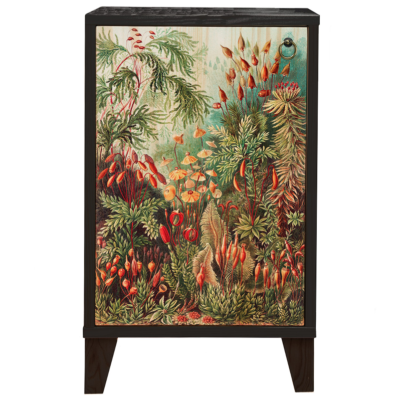 Тумба с цветочным изображением Floral Print Nighstand Черный Мульти Тумба с цветочным изображением Floral Print Nighstand Черный Мульти в Челябинске | Loft Concept