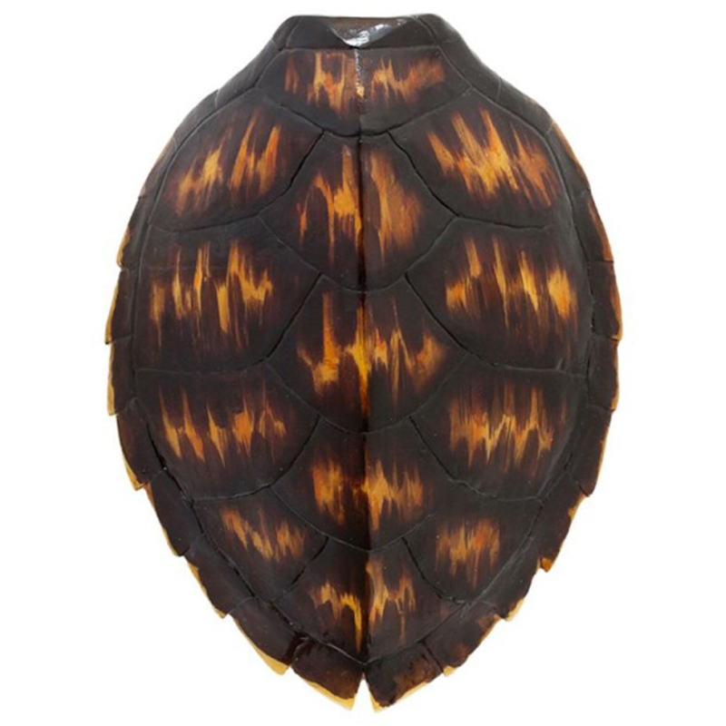Аксессуар Turtle Shell Brown Orange Коричневый Оранжевый Аксессуар Turtle Shell Brown Orange Коричневый Оранжевый в Челябинске | Loft Concept