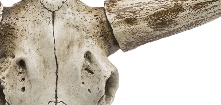 Череп быка Bull Skull Череп быка Bull Skull - Loft-Concept в Челябинске