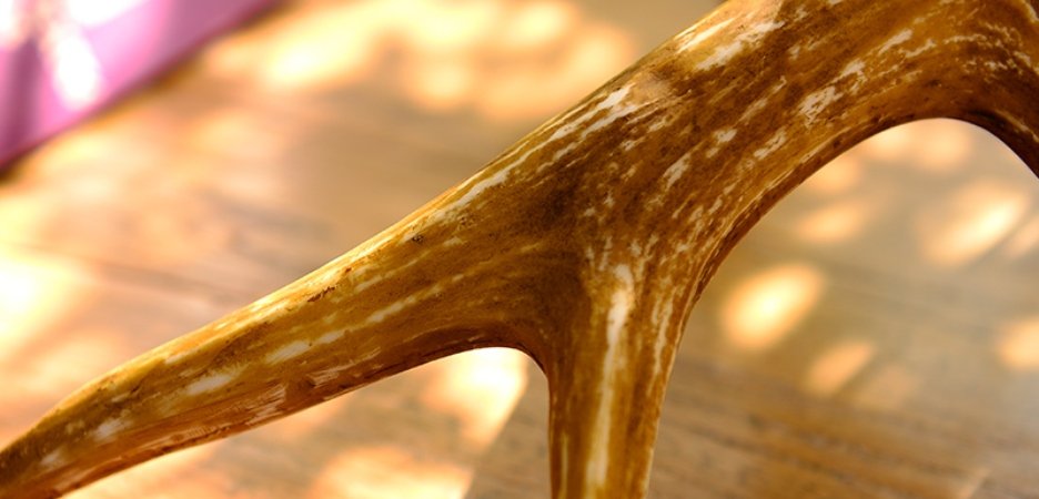 Настольная лампа Pride of England - фото №1