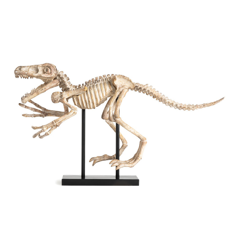 Статуэтка Dinosaur Skeleton big Бежево-серый Статуэтка Dinosaur Skeleton big Бежево-серый в Челябинске | Loft Concept