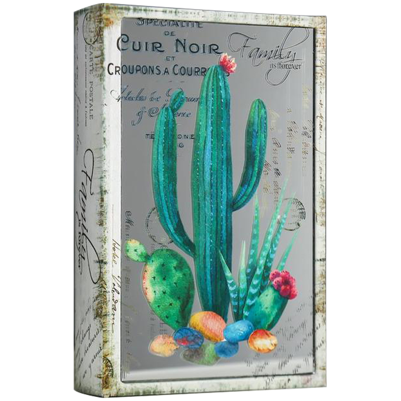 Шкатулка-книга Cactus Mirror Book Box Бежевый Зеленый Шкатулка-книга Cactus Mirror Book Box Бежевый Зеленый в Челябинске | Loft Concept