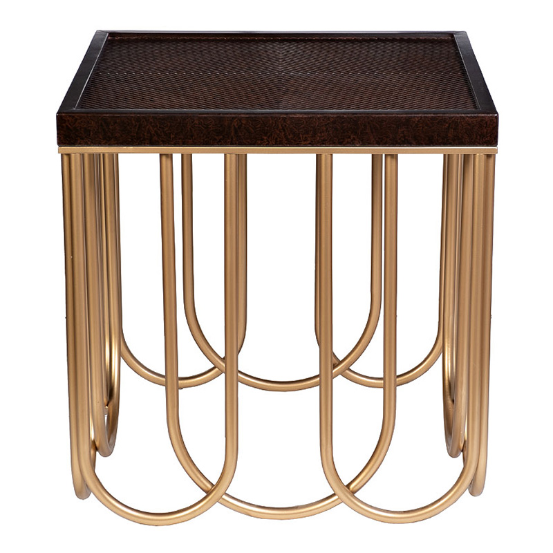 Приставной стол Cassel Side Table Дерево Табак Золотой Приставной стол Cassel Side Table Дерево Табак Золотой в Челябинске | Loft Concept