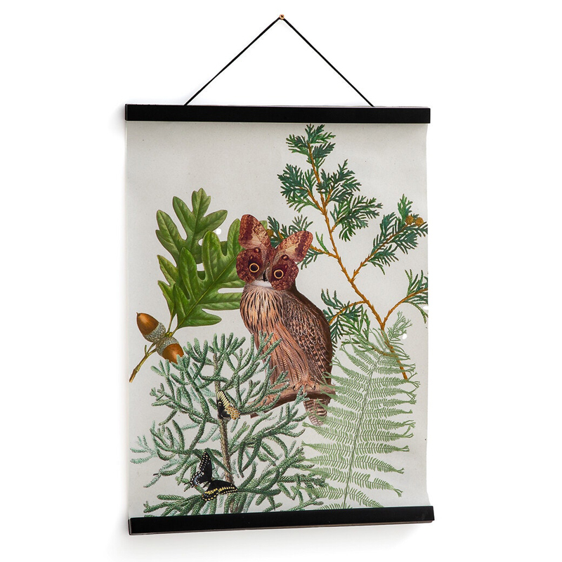 Постер Poster of Plants & Birds сова Мульти Постер Poster of Plants & Birds сова Мульти в Челябинске | Loft Concept
