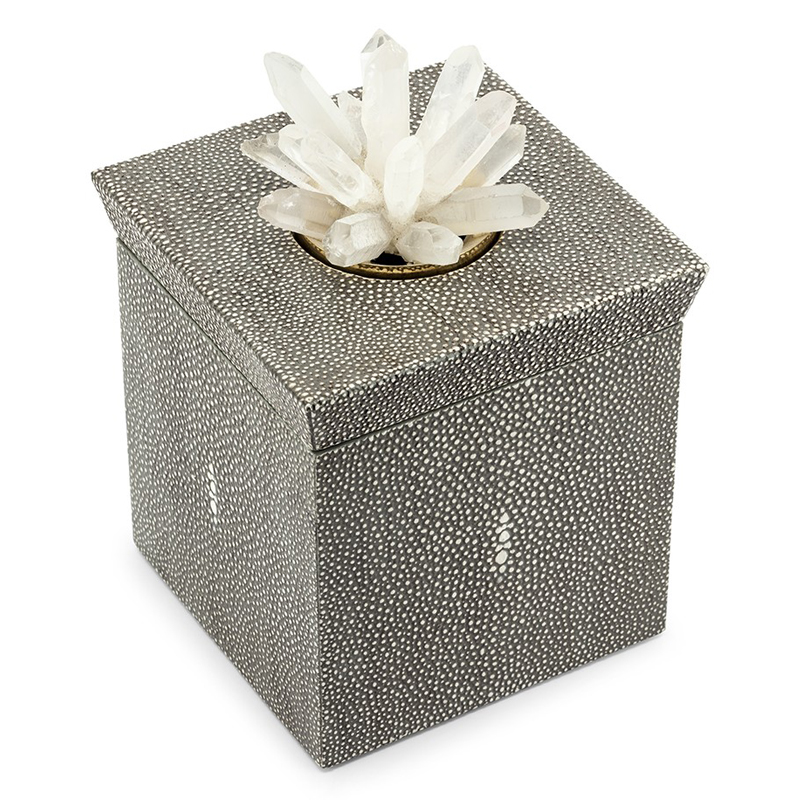Шкатулка BOX KRIZIA STING SQ Светло-серый Прозрачный Шкатулка BOX KRIZIA STING SQ Светло-серый Прозрачный в Челябинске | Loft Concept