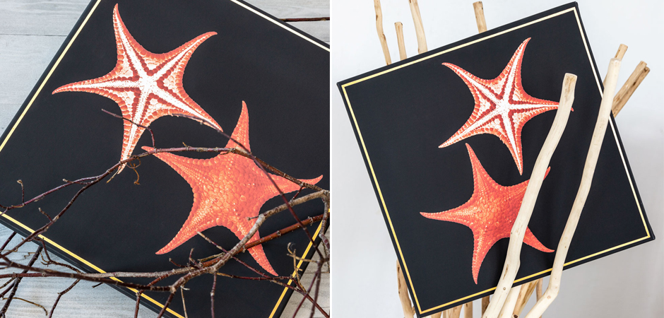 Постер Sea Stars Poster Постер Sea Stars Poster - Loft-Concept в Челябинске
