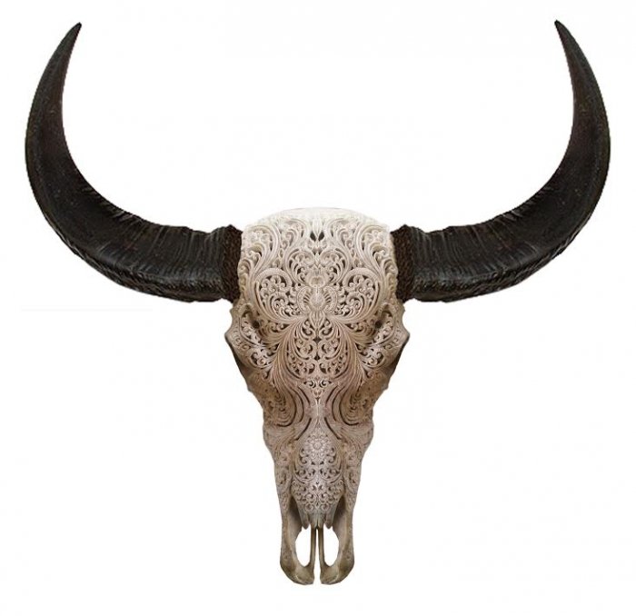 Череп буйвола с резьбой Buffalo Skull Tribal Carving Белый Череп буйвола с резьбой Buffalo Skull Tribal Carving Белый в Челябинске | Loft Concept
