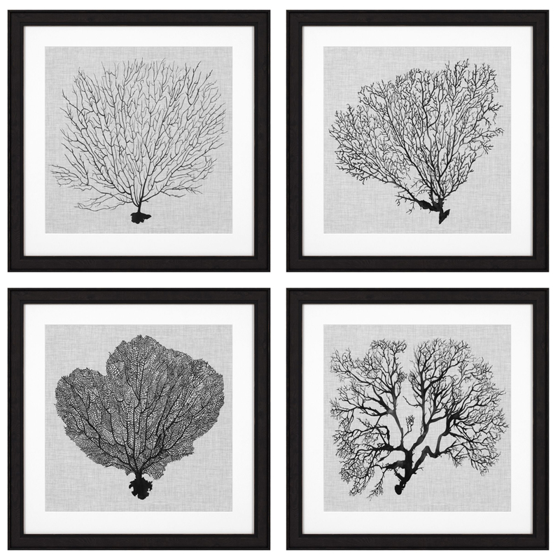Комплект постеров Eichholtz Prints Shadow Sea Fans set of 4 Черный Черно-белый Комплект постеров Eichholtz Prints Shadow Sea Fans set of 4 Черный Черно-белый в Челябинске | Loft Concept