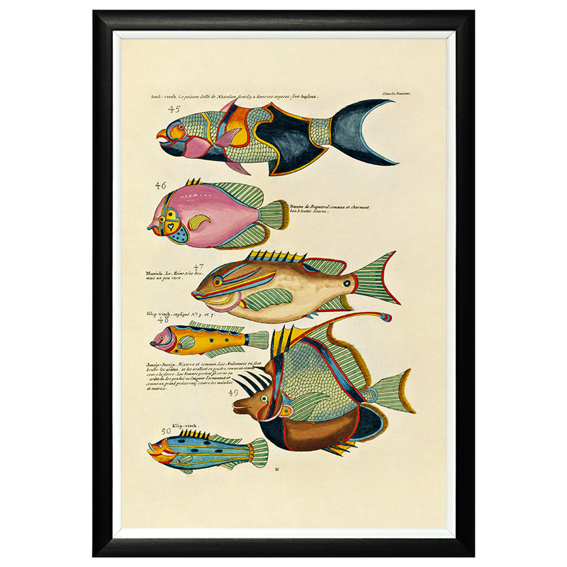 Постер в черной раме Fish Guide 7 Мульти Черный в Челябинске | Loft Concept 