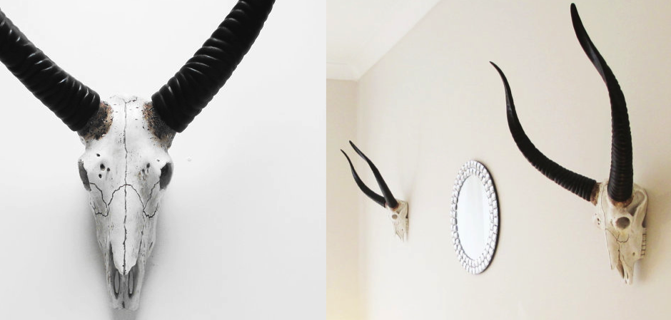Череп антилопы с черными рогами - Loft-Concept в Челябинске