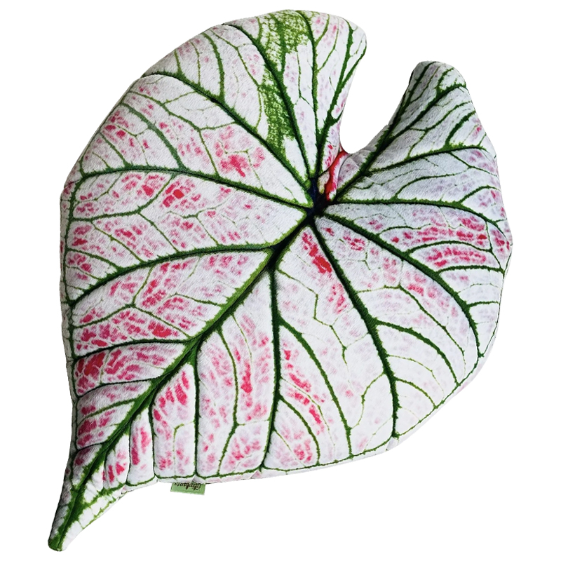 Декоративная подушка Botanical Cushion Caladium Rosebud Зеленый Бежевый Розовый Декоративная подушка Botanical Cushion Caladium Rosebud Зеленый Бежевый Розовый в Челябинске | Loft Concept
