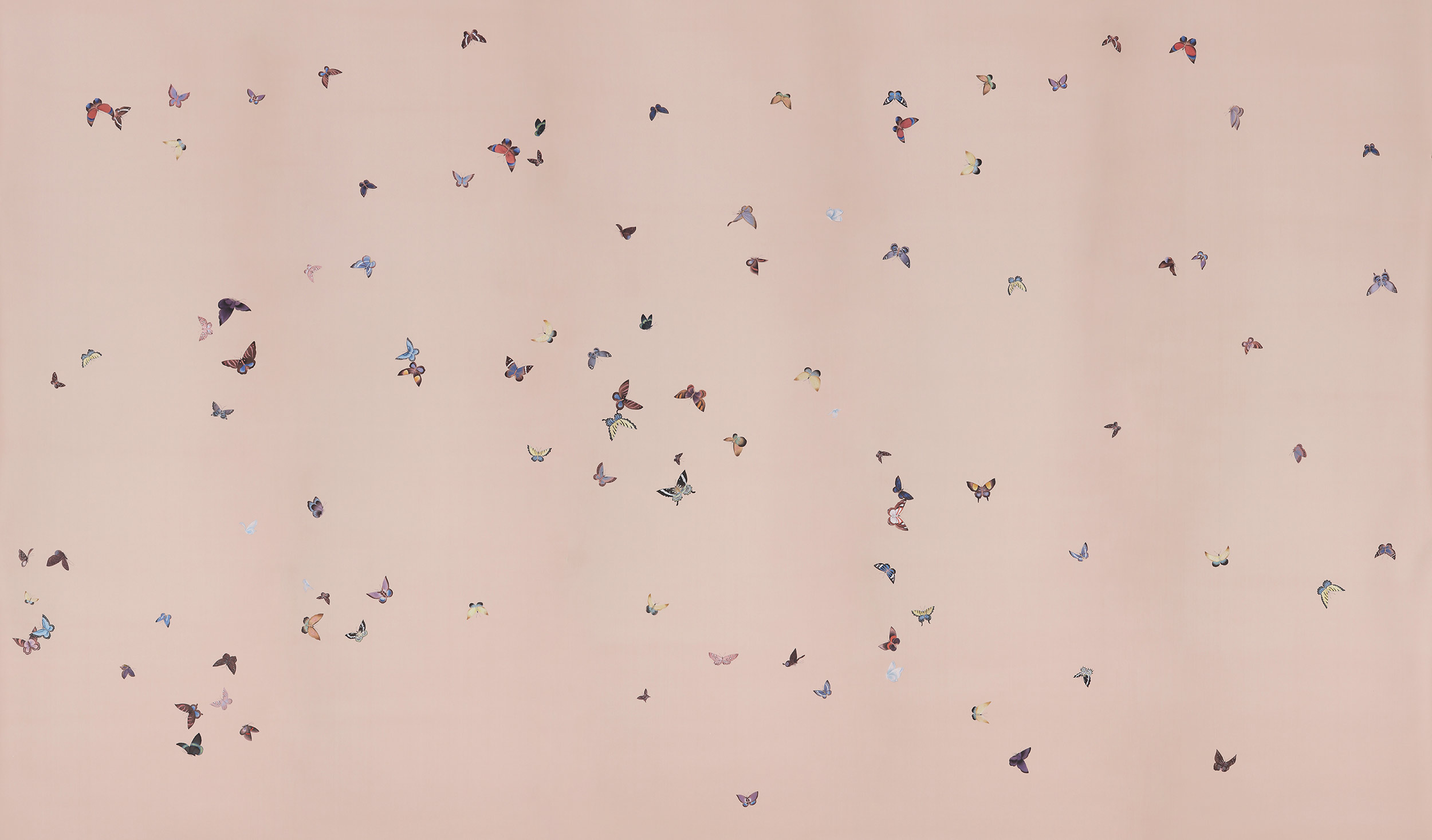 Обои ручная роспись Butterflies Icarus on Gentleman's Pink dyed silk Обои ручная роспись Butterflies Icarus on Gentleman's Pink dyed silk - постер Loft-Concept в Челябинске