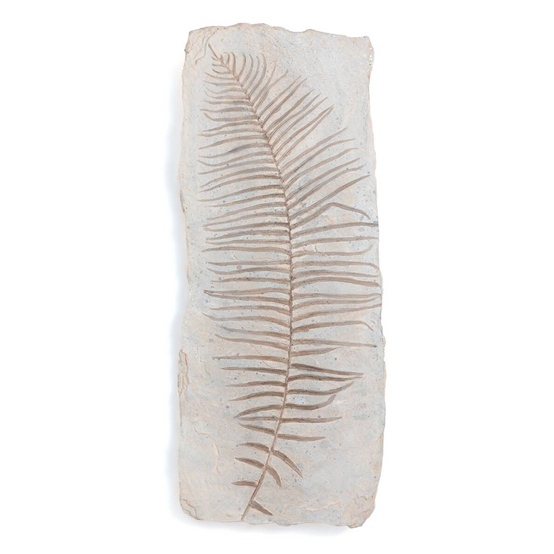 Аксессуар на стену Tropical Leaf Бежево-серый Аксессуар на стену Tropical Leaf Бежево-серый в Челябинске | Loft Concept
