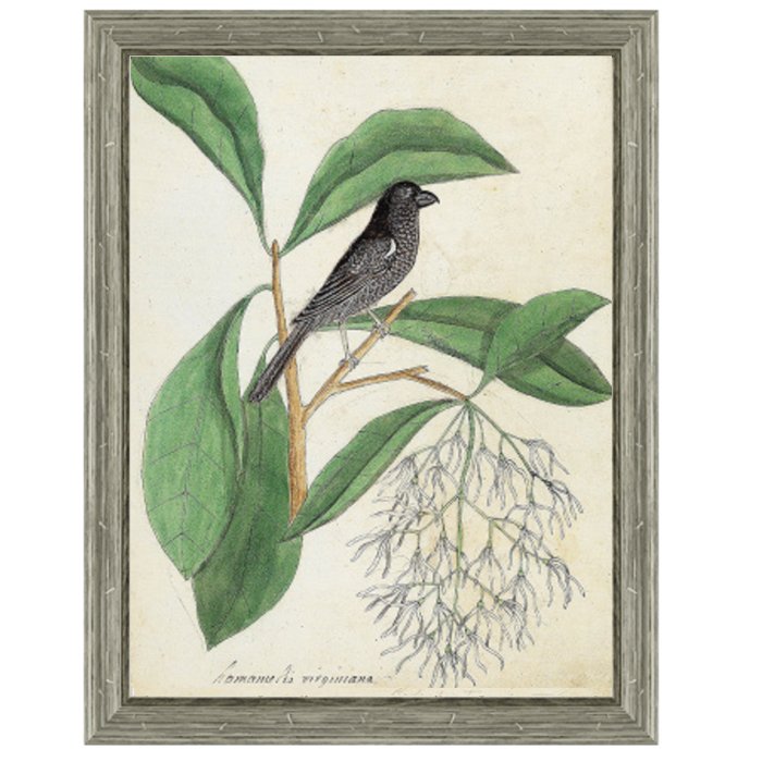 Постер Black Bird & White Flowers Постер Black Bird & White Flowers в Челябинске | Loft Concept