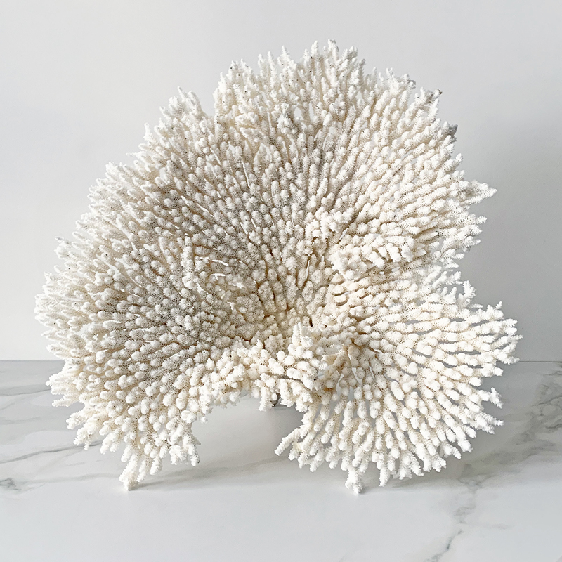 Статуэтка Table Coral Статуэтка Table Coral в Челябинске | Loft Concept