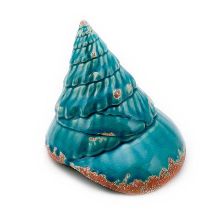 Ракушка Shell Turquoise #2 Бирюзовый Ракушка Shell Turquoise #2 Бирюзовый в Челябинске | Loft Concept