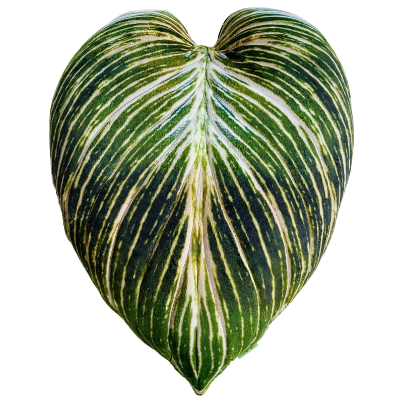 Декоративная подушка Botanical Cushion Philodendron Birkin Зеленый Салатовый Белый Декоративная подушка Botanical Cushion Philodendron Birkin Зеленый Салатовый Белый в Челябинске | Loft Concept